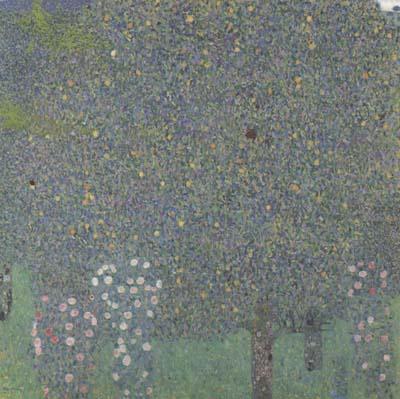 Rose Bushes Under the Trees (mk20), Gustav Klimt